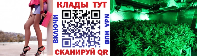 Как найти закладки Тогучин Cocaine  Псилоцибиновые грибы  МАРИХУАНА  ГАШИШ  Alpha-PVP  АМФЕТАМИН 