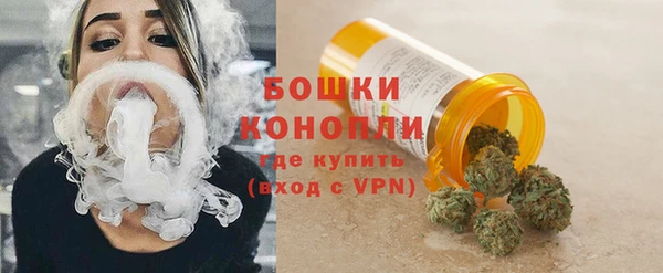 шишки Беломорск