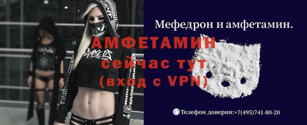 шишки Беломорск