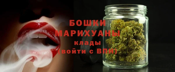 шишки Беломорск