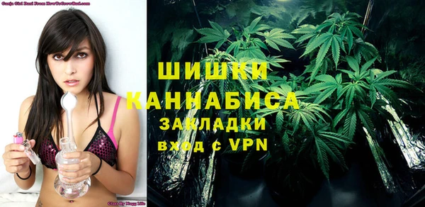 шишки Беломорск
