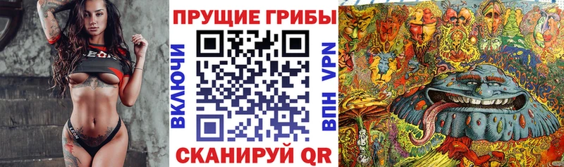 Галлюциногенные грибы прущие грибы наркотики Тогучин
